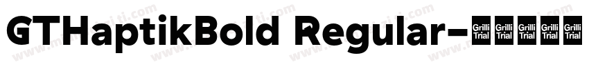 GTHaptikBold Regular字体转换